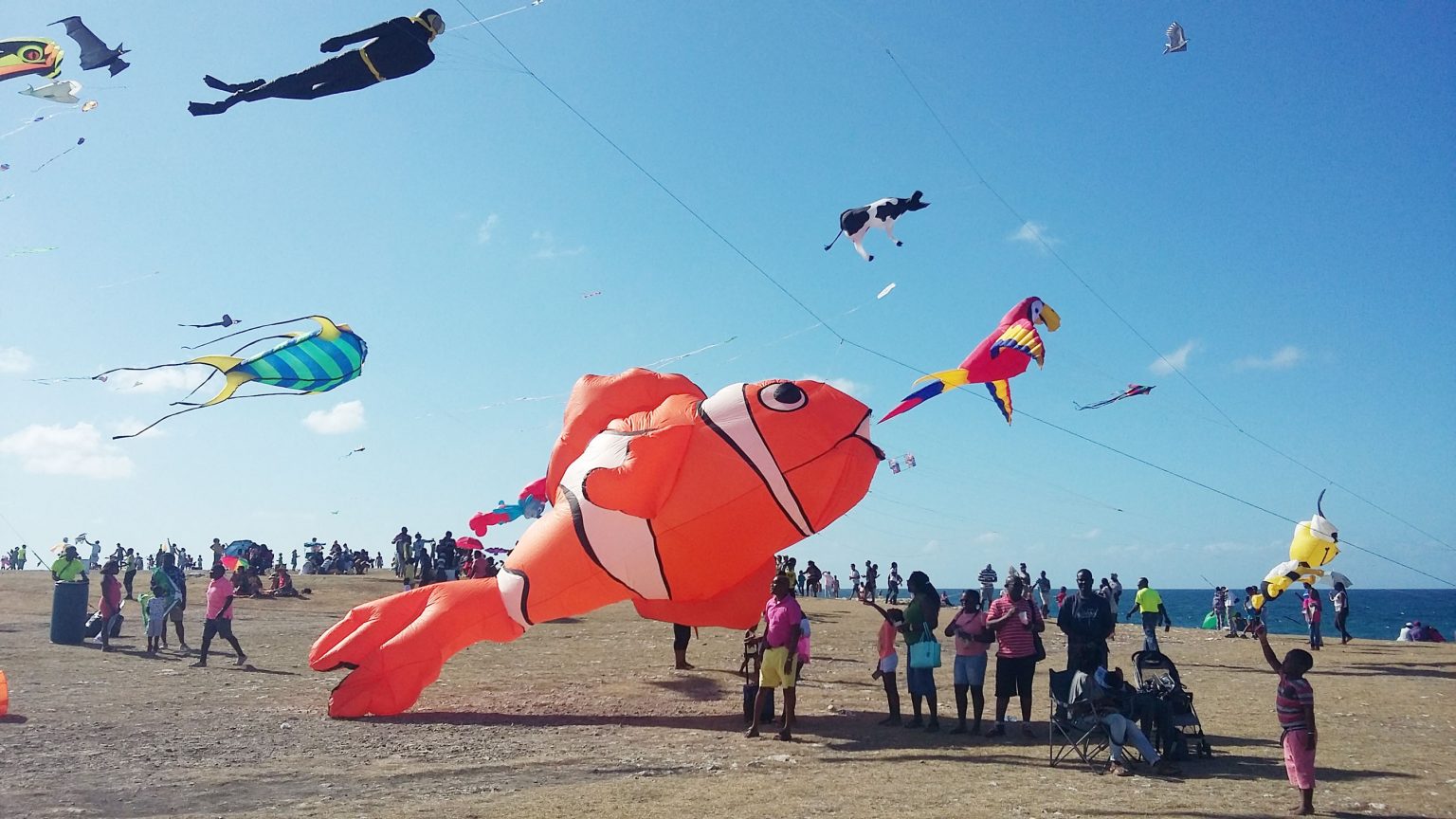 Residents urged to get creative for 15th annual International Kite