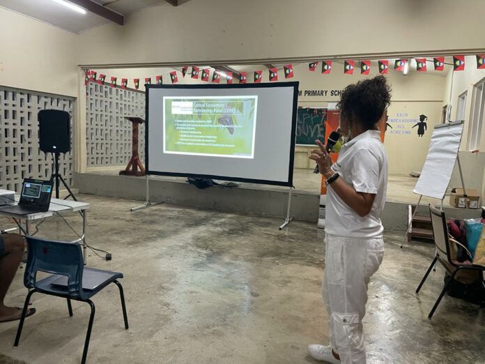 nicola bird giving presentation at parham