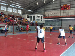 2 volley camp