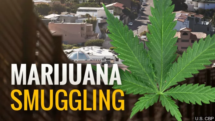 marijuana smuggling 1