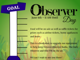 observer day