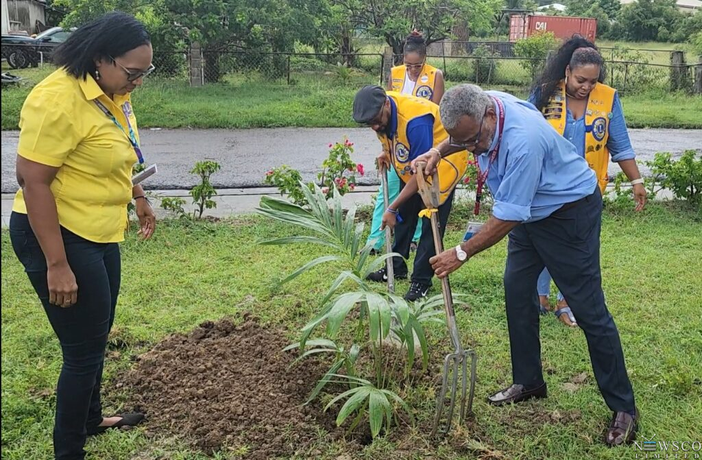 uwi lions tree planting