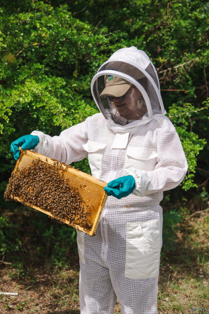 4 beekeepersanu 39
