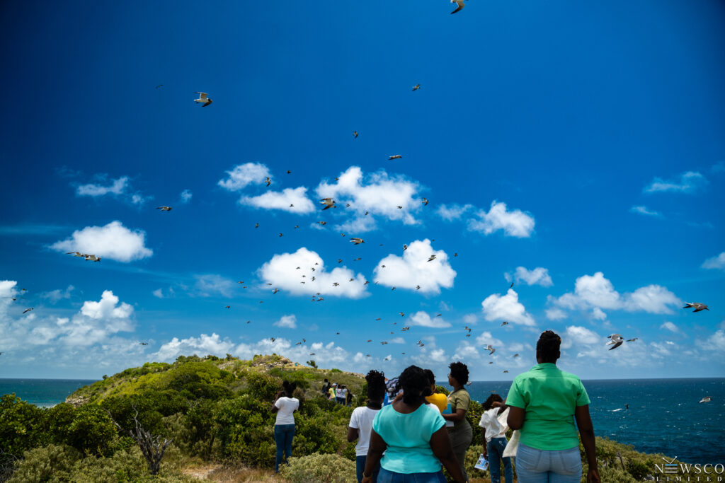 7 students enjoying the bird life on great bird island. credits chaso media (1)