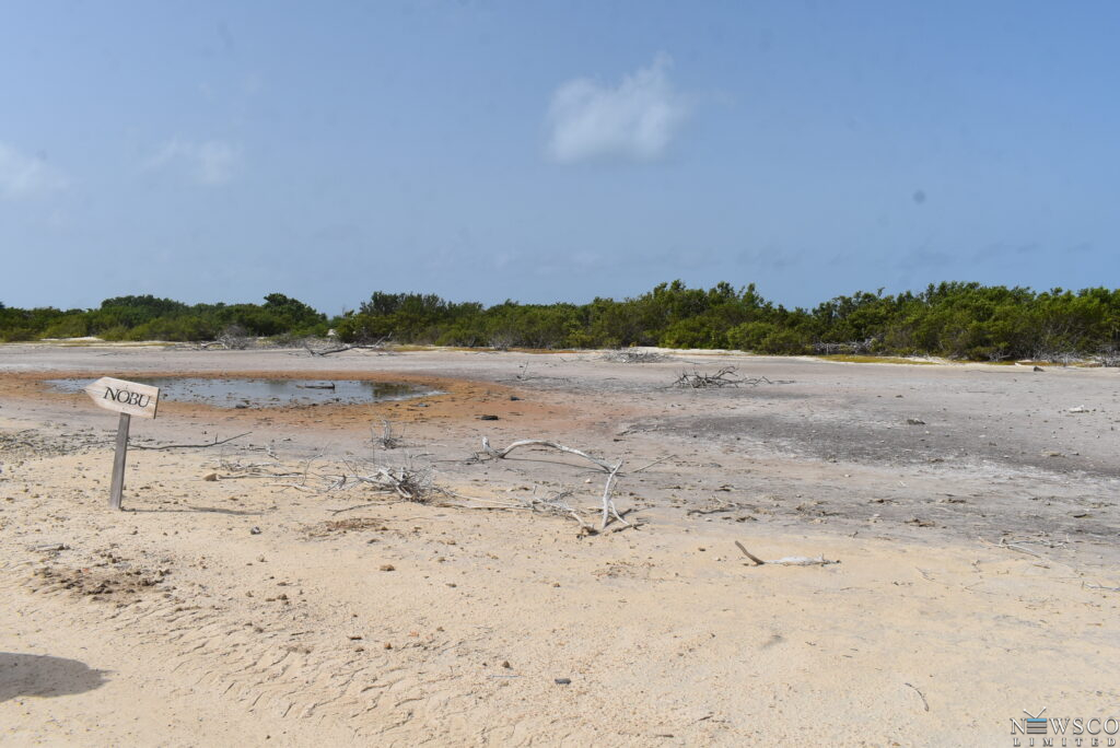 front mangroves (5)