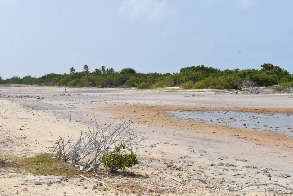 front mangroves (6)